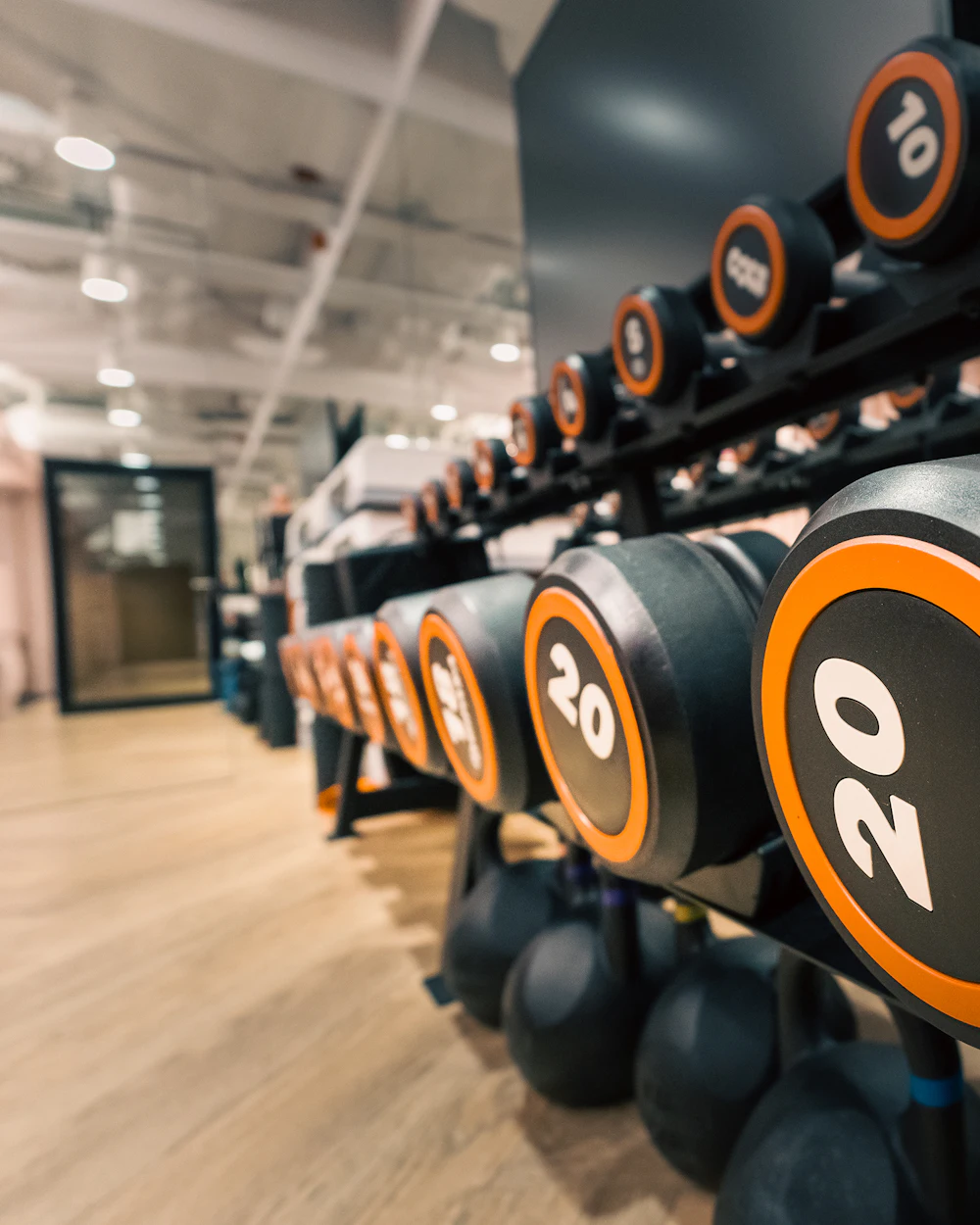 Rows of dumbbells in a modern gym